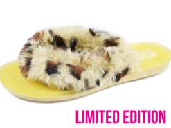 Gelattto Gelato Candy Bun LEOBEIGE Online
